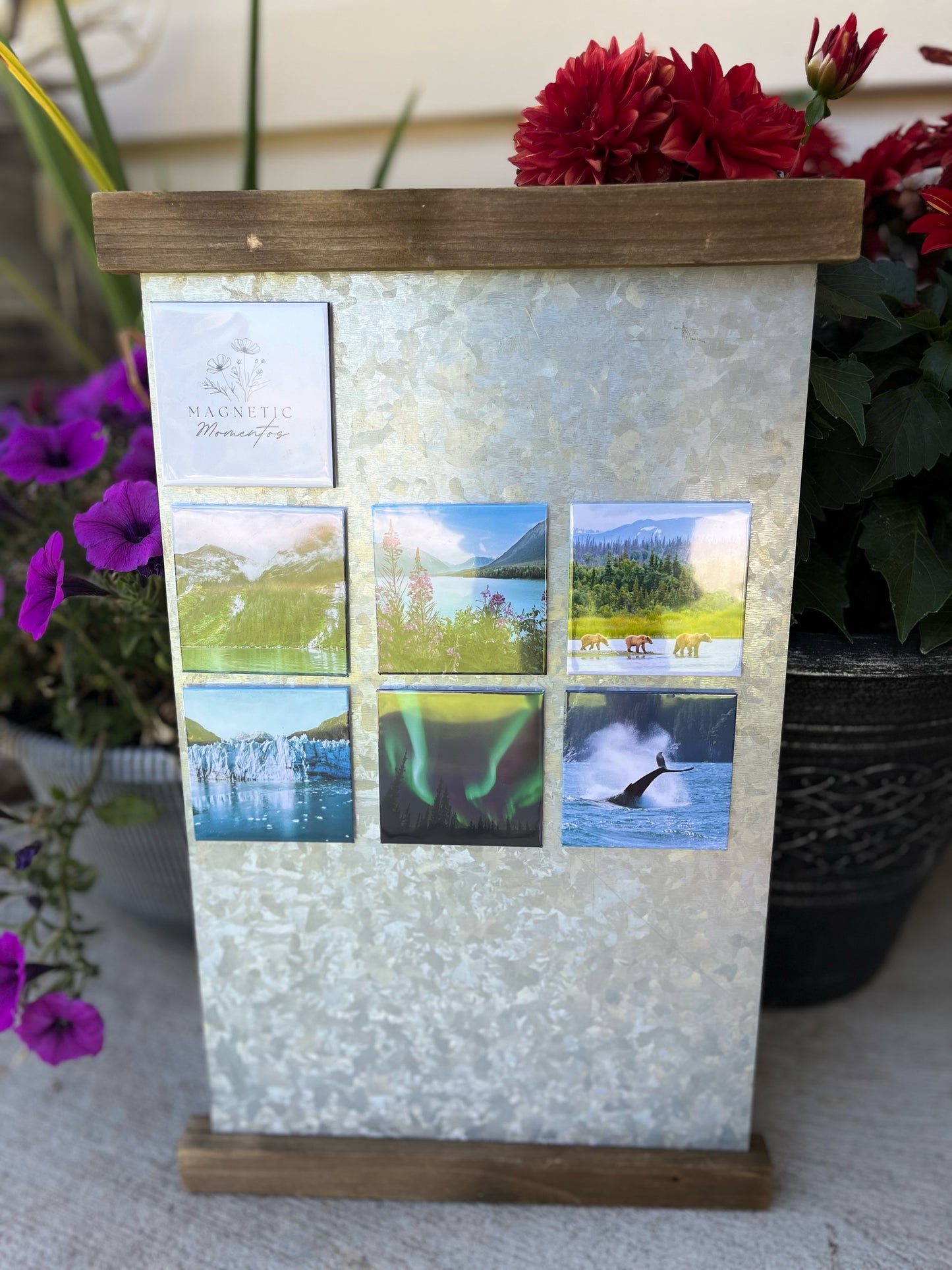 6 Pack Magnets